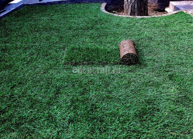 Processed with MOLDIV