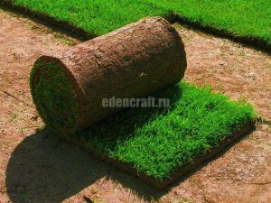Устройство рулонного газона