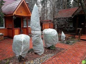Подготовка сада к зиме